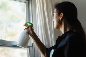 Read more about the article Arizona Living 101: How to Keep Your Windows from Being Filthy