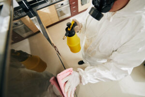Read more about the article A Guide in Disinfecting Your Home After a Cold or a Flu