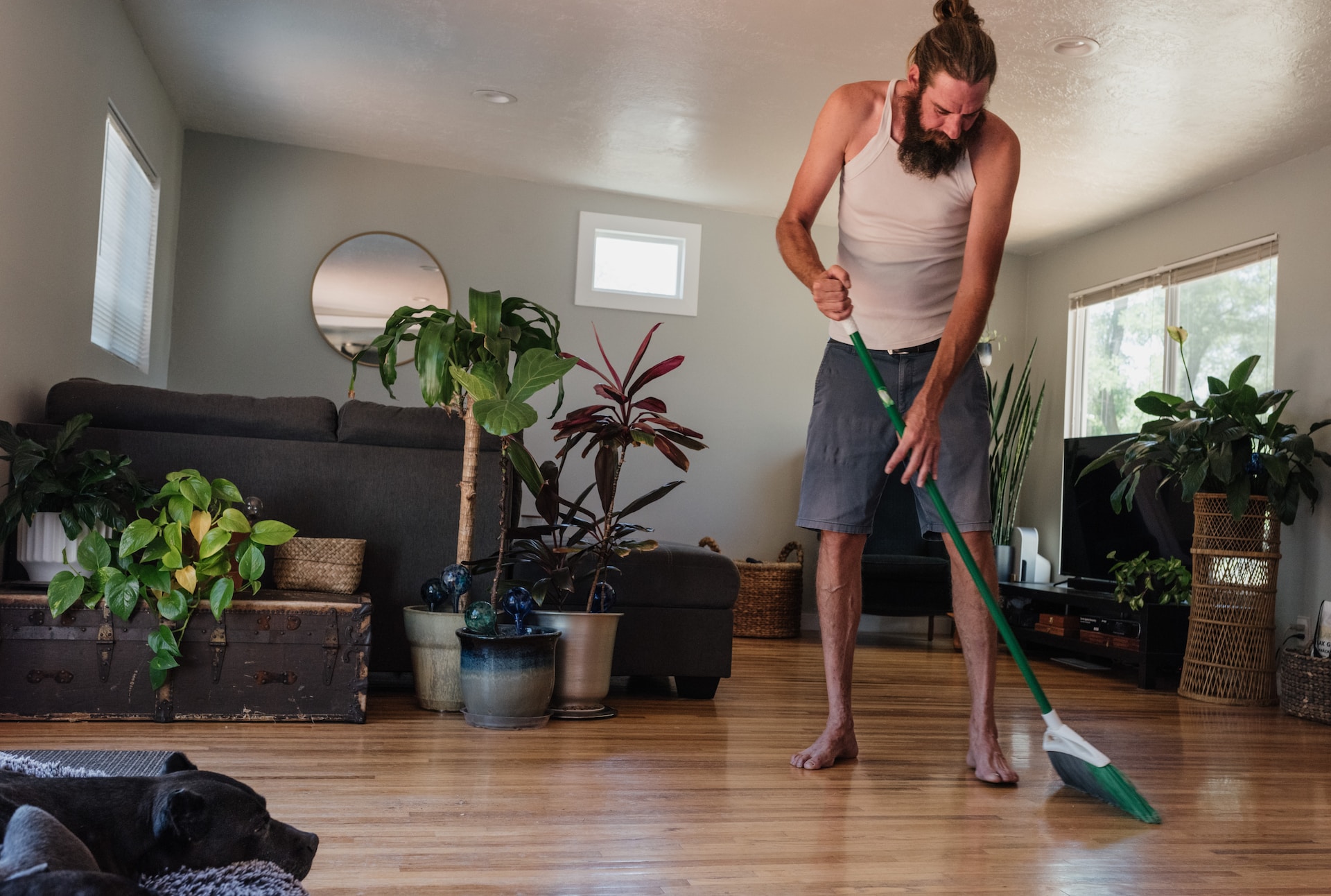 Read more about the article 6 Tips to Maintain Your Home’s Cleanliness If You Have a Pet